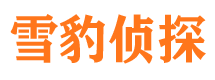 薛城市婚姻出轨调查